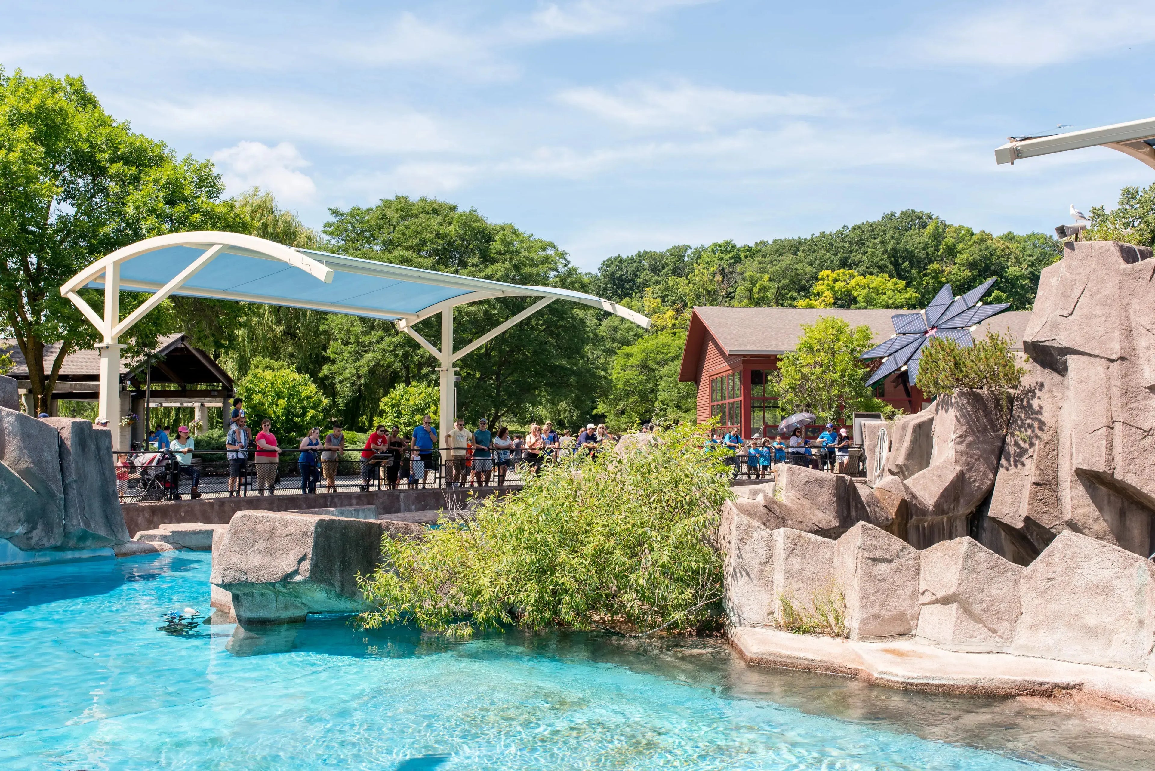 Cantilever Shades - Texas Shade Structures - Commercial Shades